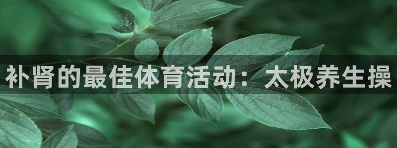 JJB竞技宝官方正版app娱乐网站