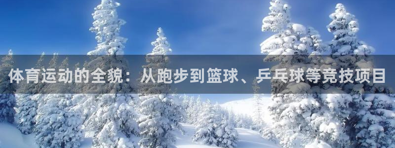 JJB竞技宝官网下载招商电话地址是多少