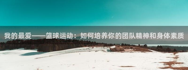 JJB竞技宝官网下载平台注册要钱吗：我的最爱——篮球