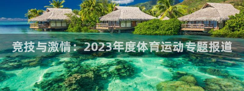 JJB竞技宝官网下载招商电话是多少号码：竞技与激情：