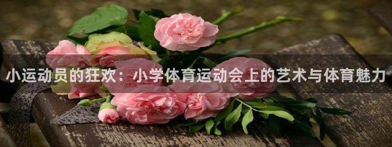 JJB竞技宝官方正版app娱乐首页网站大全：小运动员
