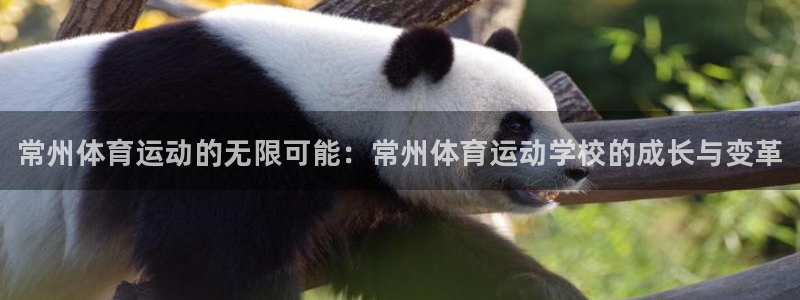 JJB竞技宝官网下载招商电话地址：常州体育运动的无限