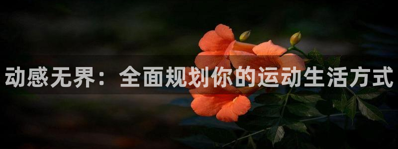 JJB竞技宝官网下载开户：动感无界：全面规划你的运动