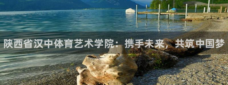 JJB竞技宝官方正版app娱乐首页官网下载：陕西省汉