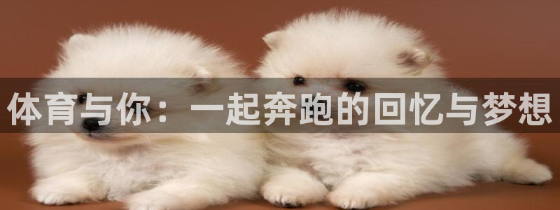 JJB竞技宝官方正版app集团官网首页