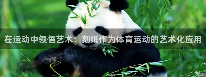 JJB竞技宝官网下载招商电话地址查询：在运动中领悟艺