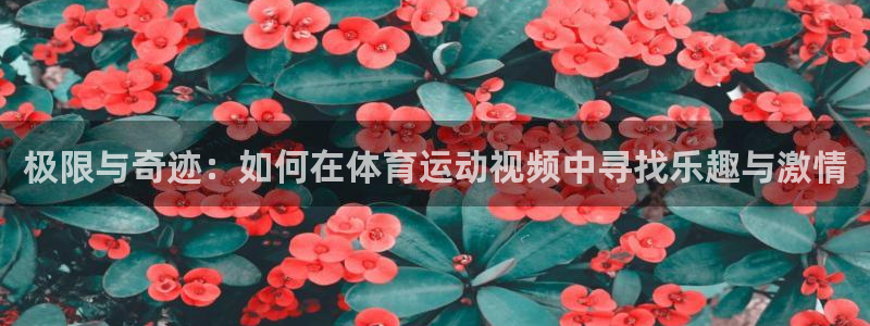 JJB竞技宝官网下载平台APP：极限与奇迹：如何在体