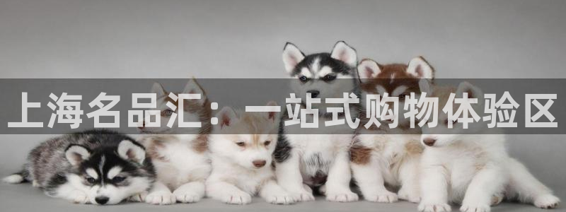 JJB竞技宝官方正版app神州：上海名品汇：一站式购