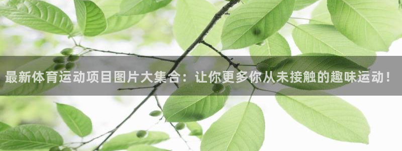 JJB竞技宝官网下载招商电话号码：最新体育运动项目图