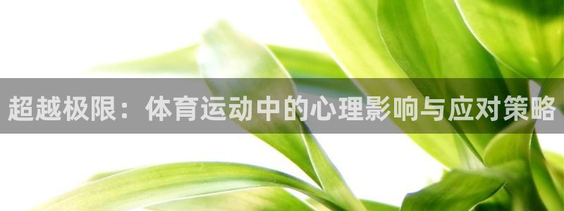 JJB竞技宝官网下载招商电话号码是多少号