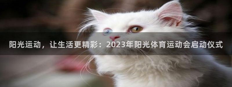 JJB竞技宝官网下载平台：阳光运动，让生活更精彩：2