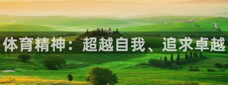 JJB竞技宝官方正版app新能源：体育精神：超越自我、追求卓