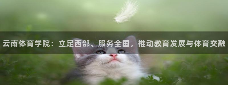 竞技宝什么网站