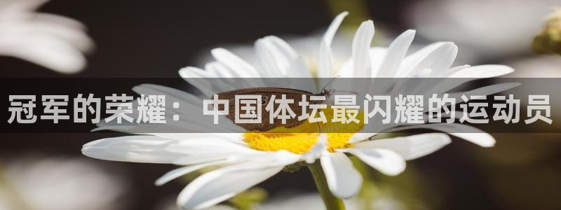 竞技宝app下载安装最新版