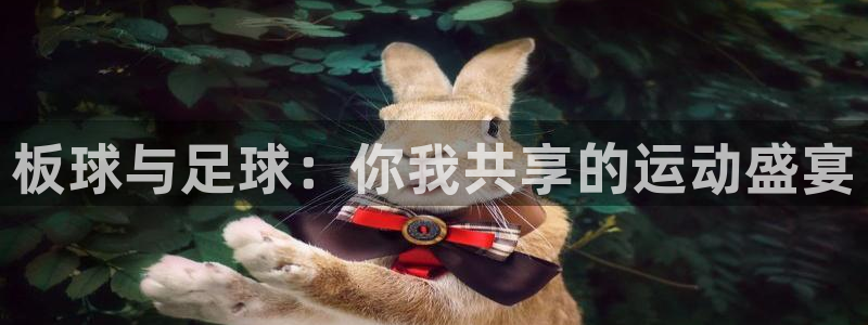 竞技宝是不是赌博：板球与足球：你我共