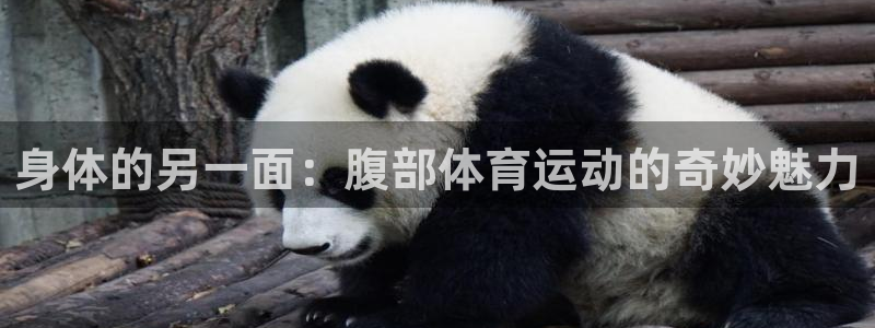 竞技宝网站入口：身体的另一面：腹部体