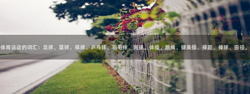 竞技宝输钱能找回吗：体育运动的词汇：