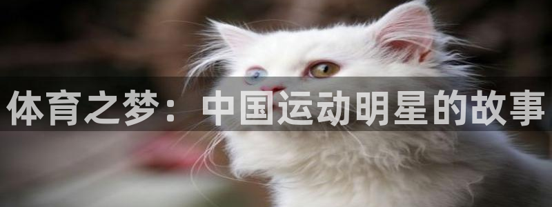 竞技宝下载JJB
