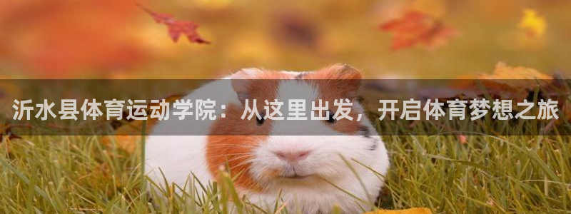  JJB竞技宝平台官方下载：沂水县体育运动学院：从这里出发，开