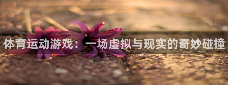 竞技宝官网是什么