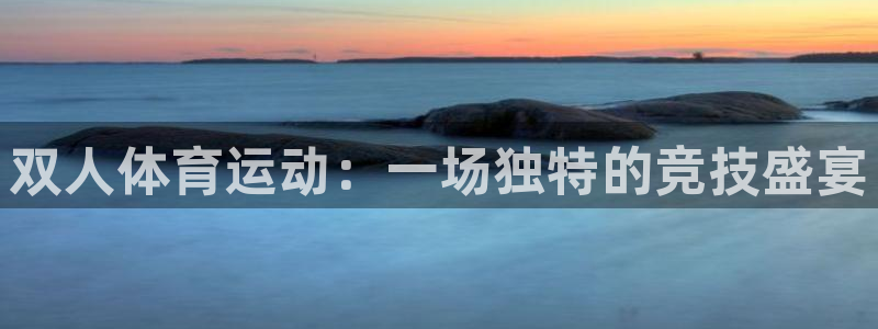  竞技宝入口官网首页app下载：双人体育运动：一场独特的竞技盛