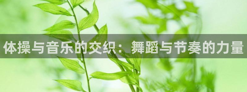  竞技宝下载官网安装：体操与音乐的交织：舞蹈与节奏的力量