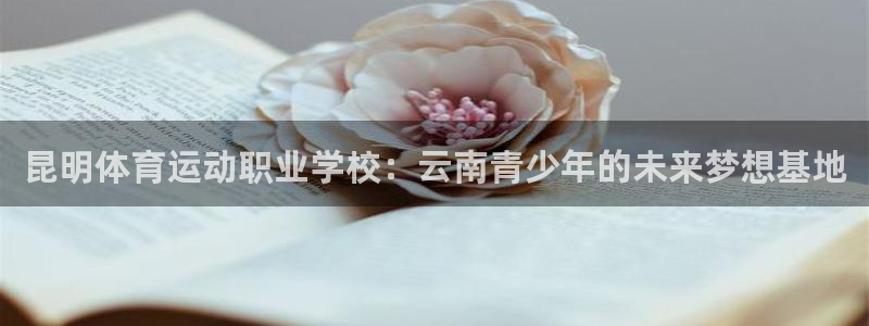 竞技宝客服连不上：昆明体育运动职业学校：云南青少年的未来梦想
