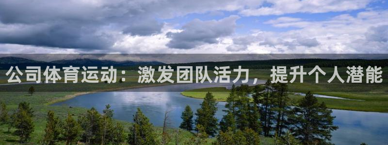 竞技宝测速站网址填什么：公司体育运动：激发团队活力，提升个人